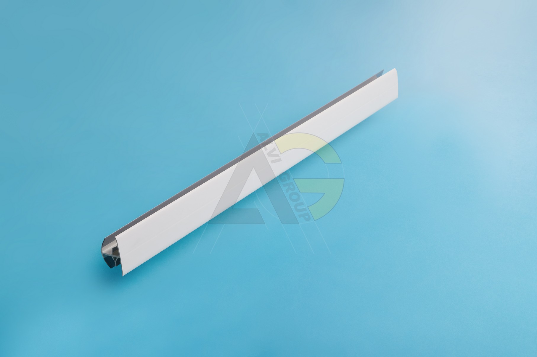 AlviGroup76381