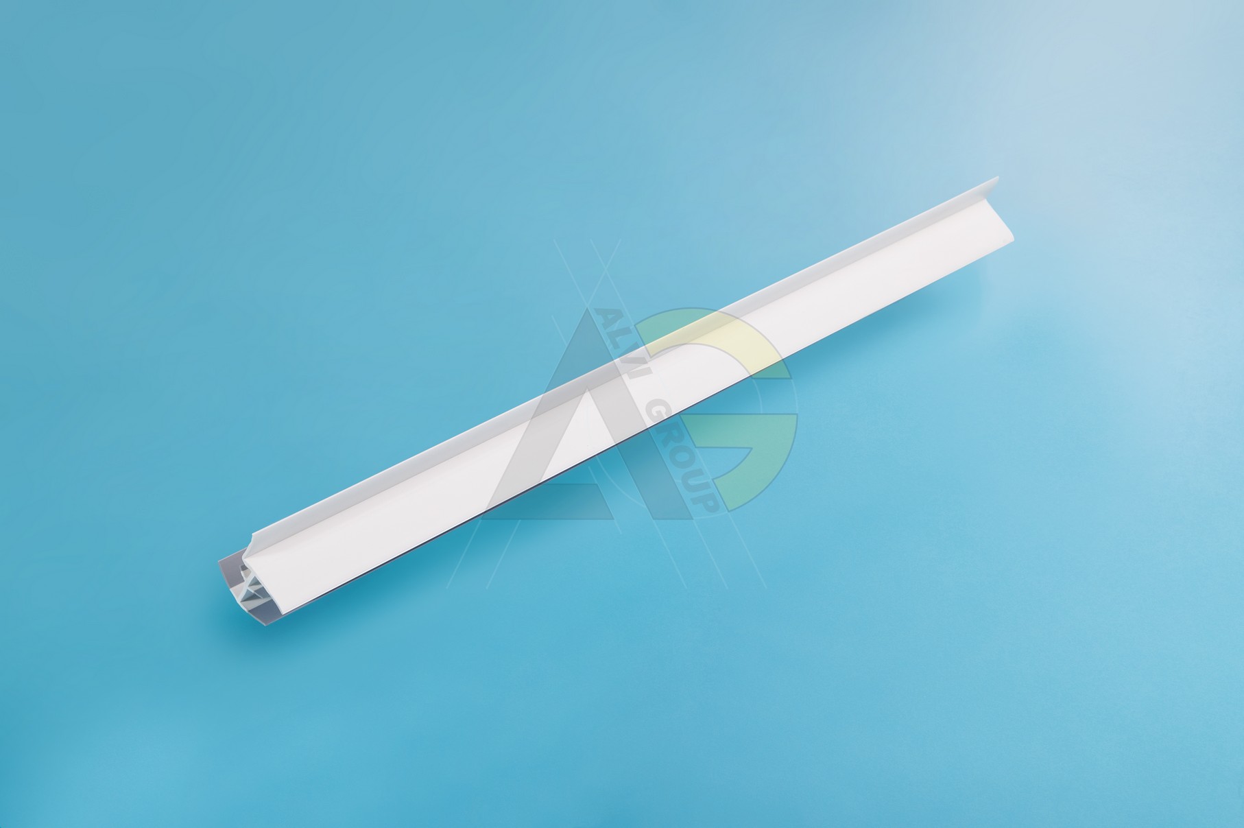 AlviGroup76389